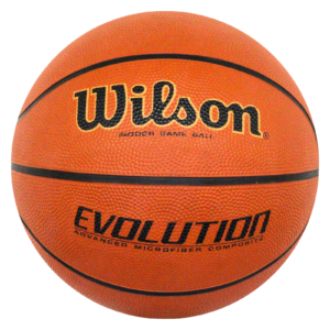 Wilson Evolution Official Game Basketball