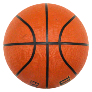 Wilson Evolution Official Game Basketball