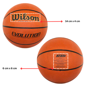 Wilson Evolution Official Game Basketball