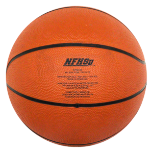 Wilson Evolution Official Game Basketball