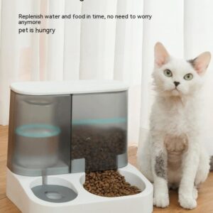 Pet Visual Automatic Pet Feeder